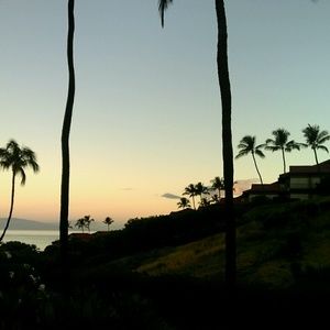 Meet your Posher, Cynthia